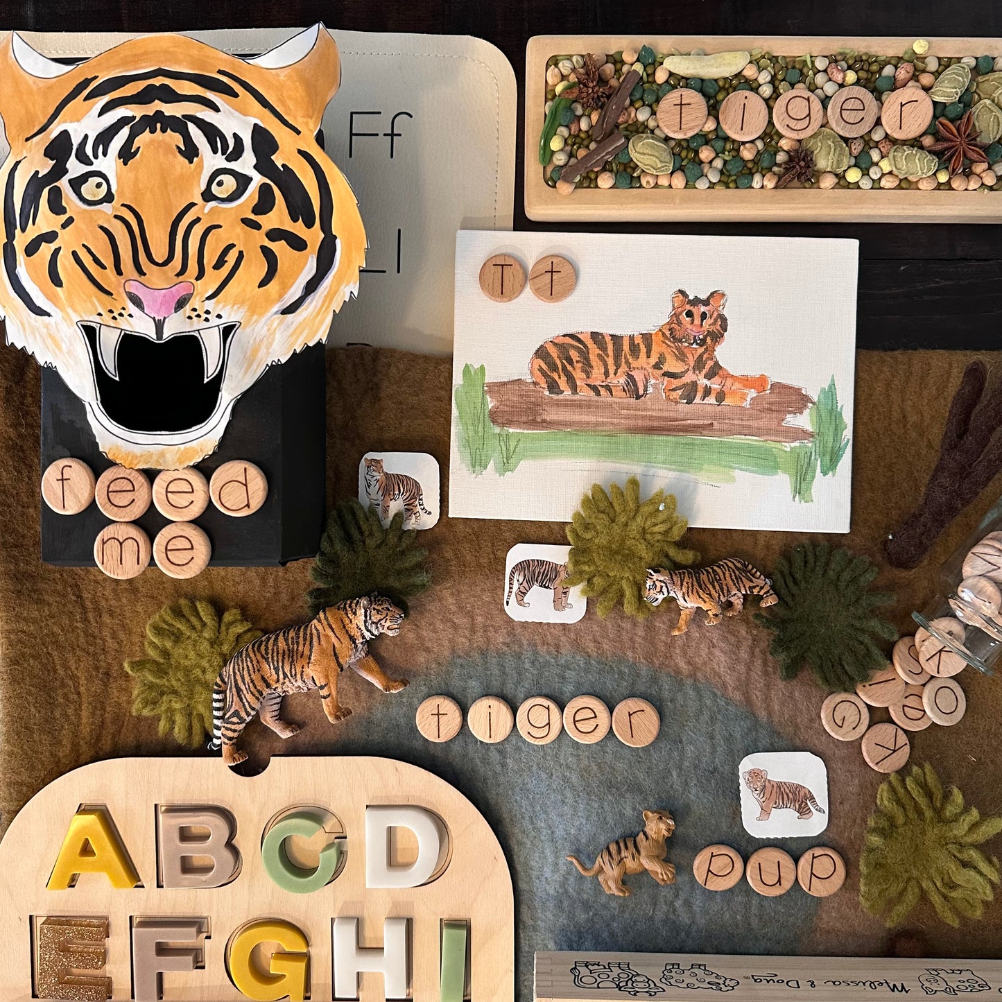 All About Rainforests