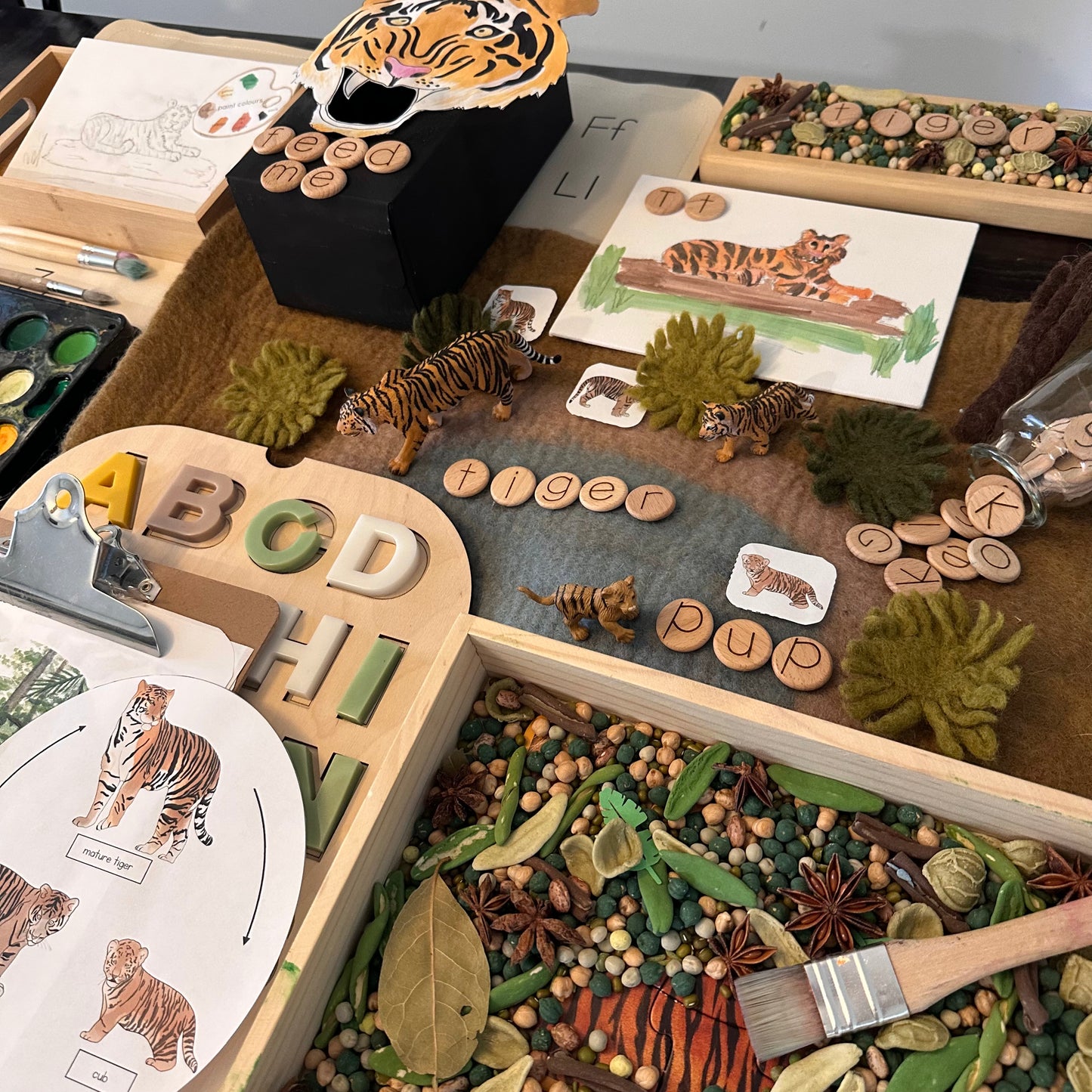 All About Rainforests