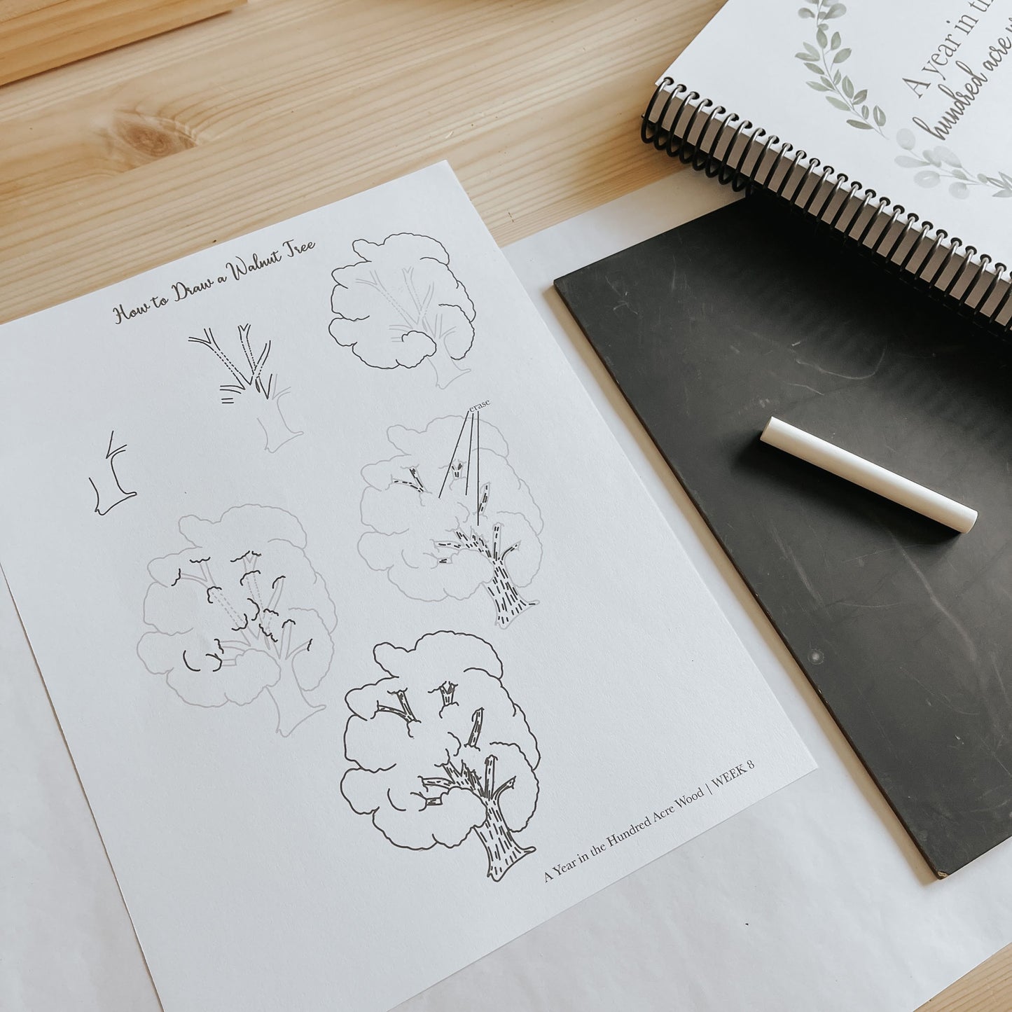 A Year in the Hundred Acre Wood Elementary