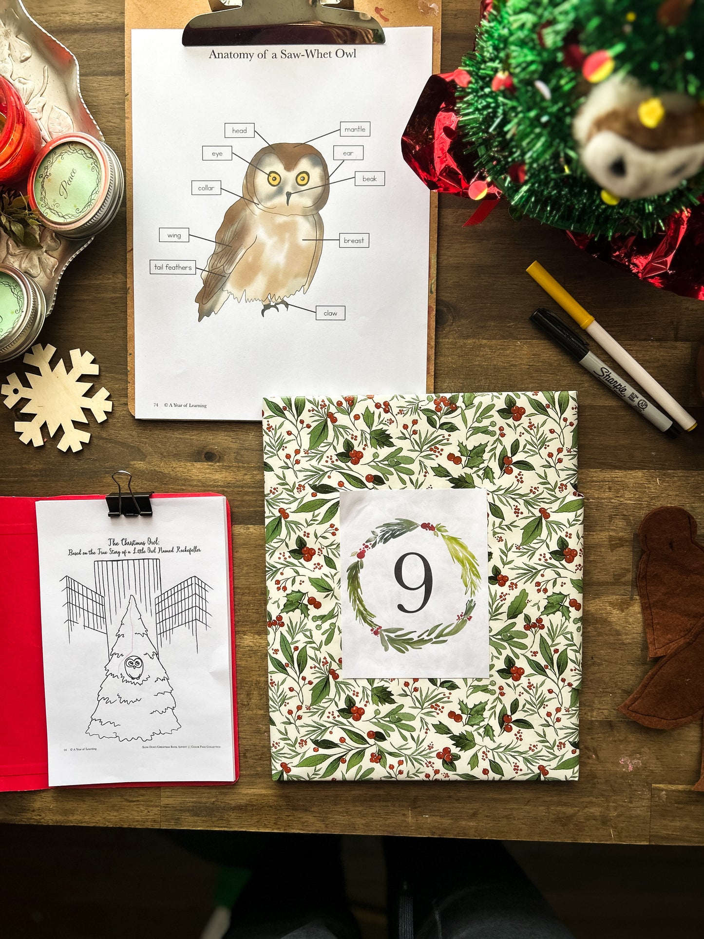 Slow Down Book Advent