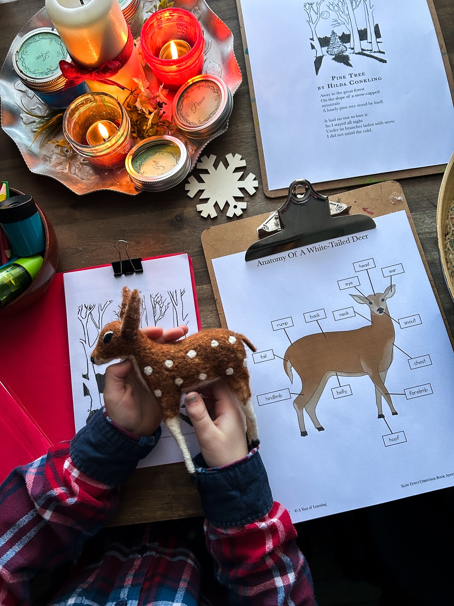 Slow Down Book Advent