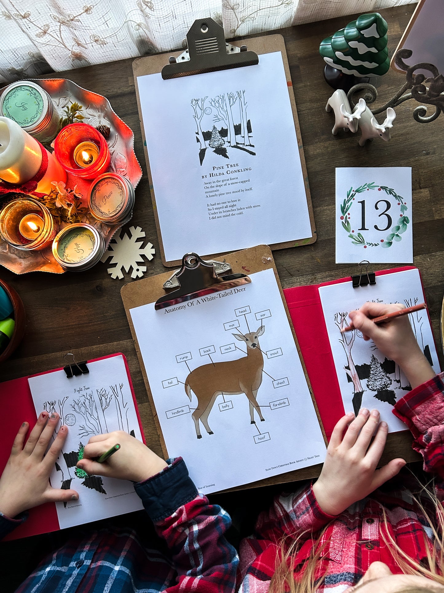Slow Down Book Advent