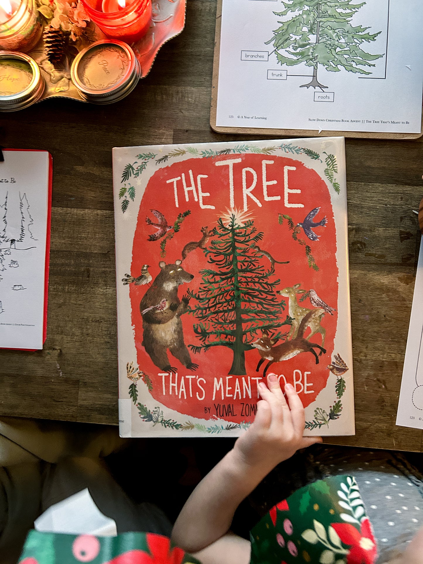 Slow Down Book Advent