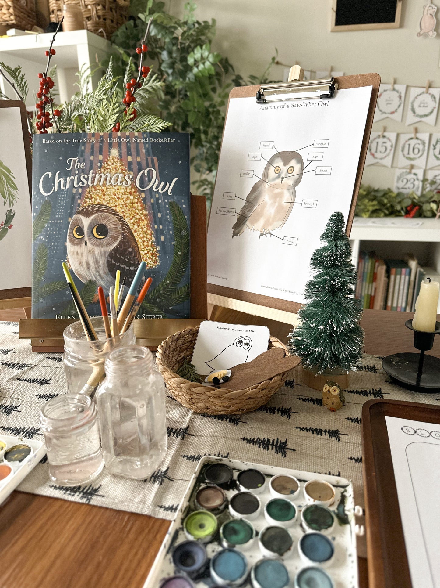 Slow Down Book Advent