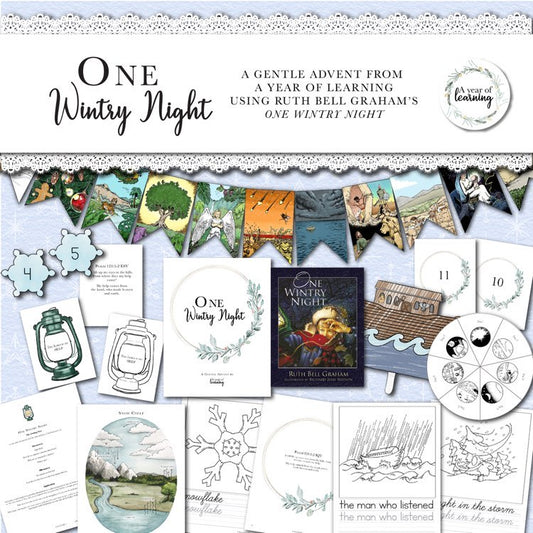 One Wintry Night