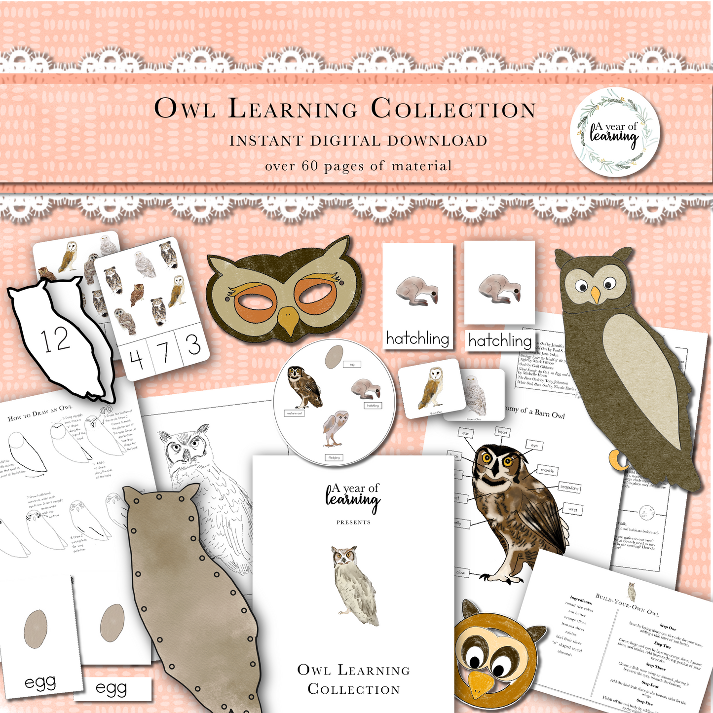 Original Owl Collection (retired)