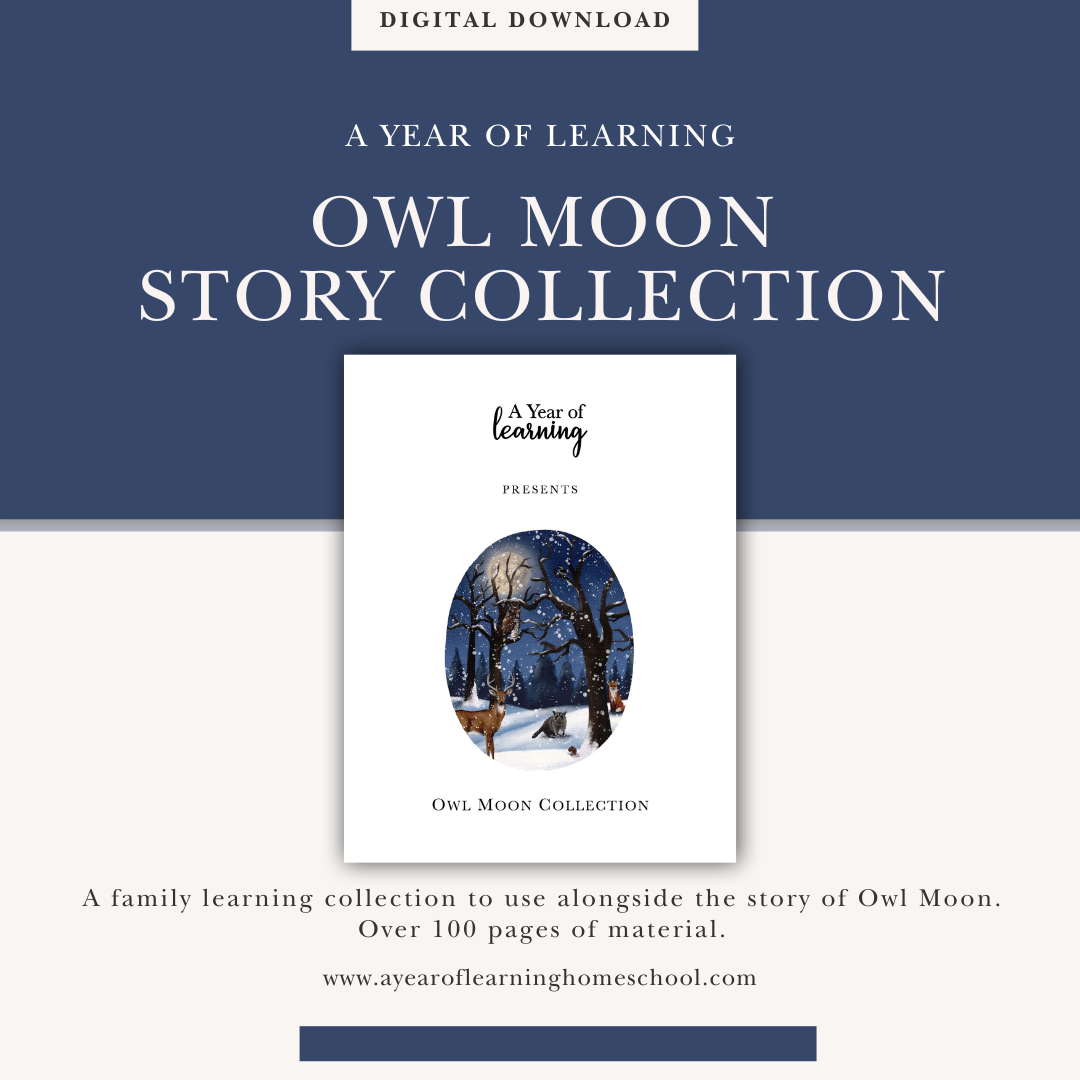 Owl Moon Collection