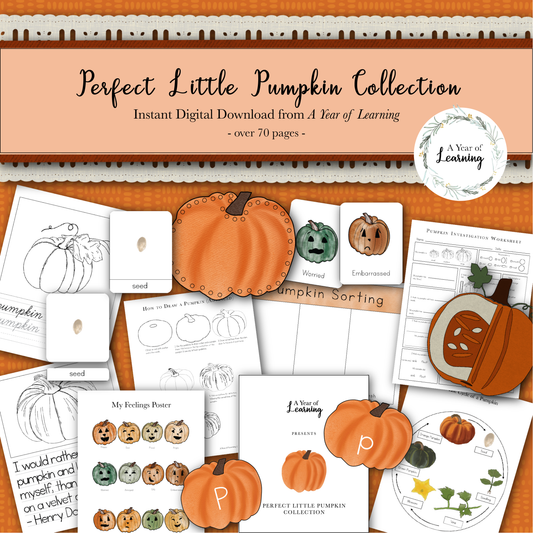 Perfect Little Pumpkin Collection