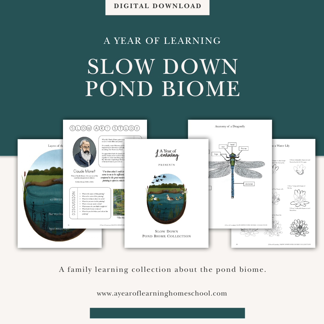 Slow Down Pond Biome Collection