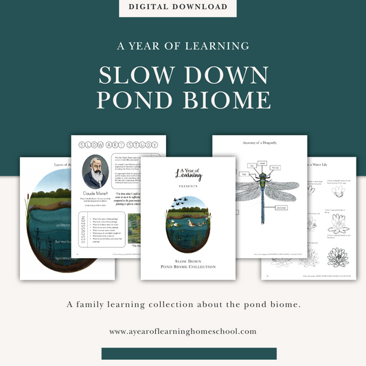 Slow Down Pond Biome Collection