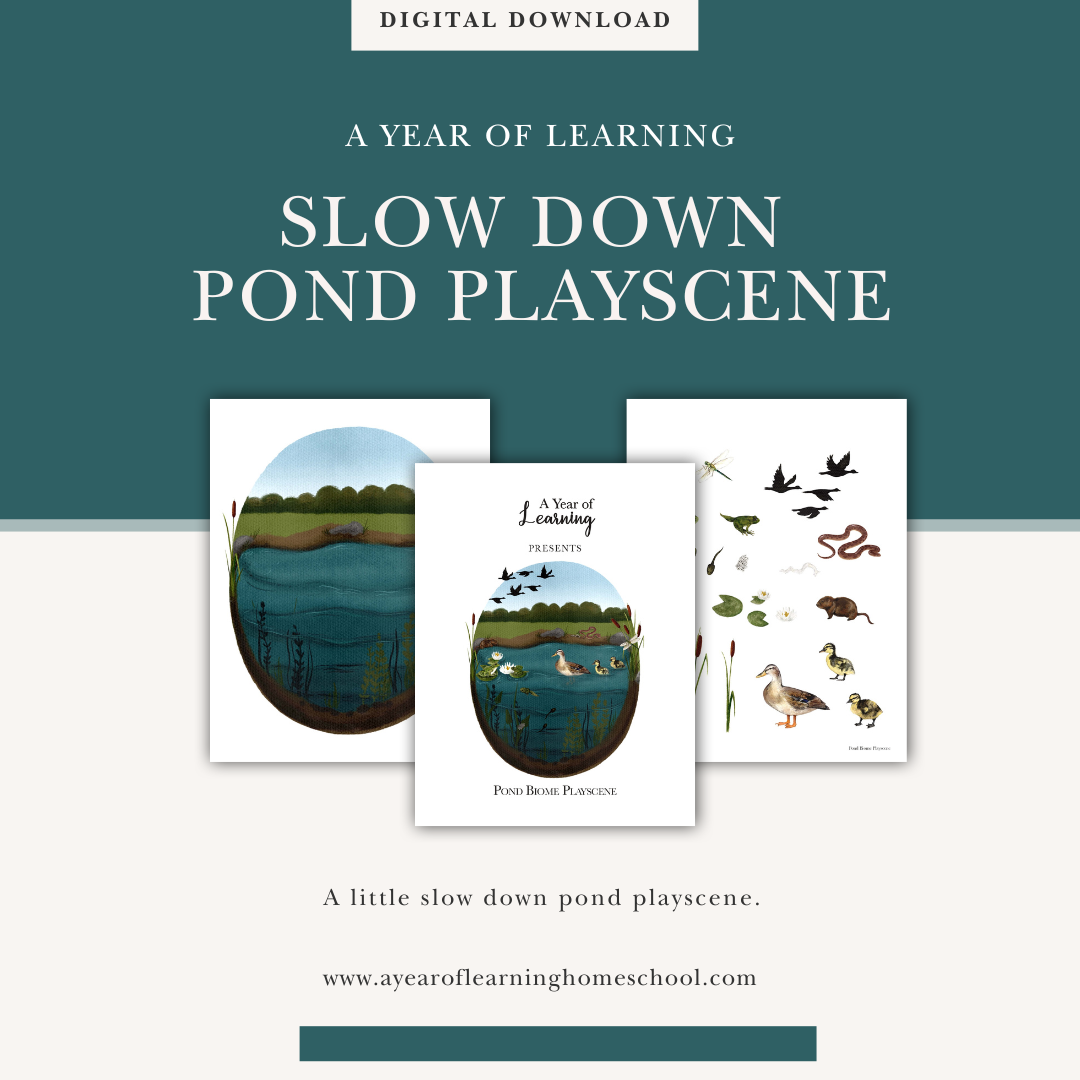 A FREE Pond Playscene