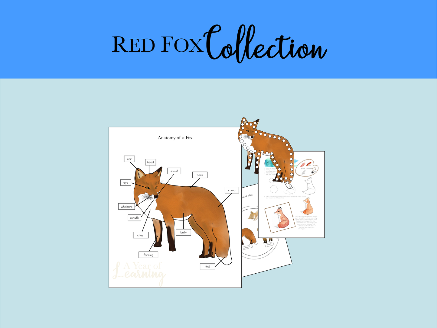 Red Fox Collection