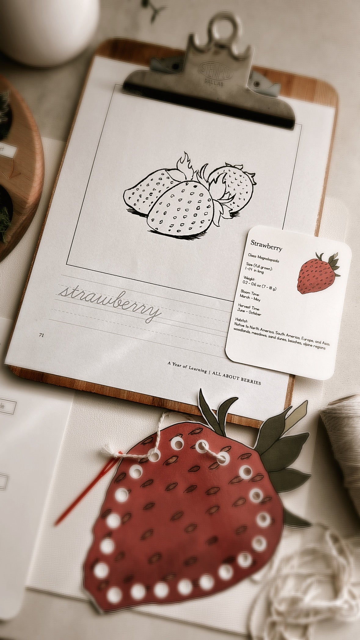 All About Berries