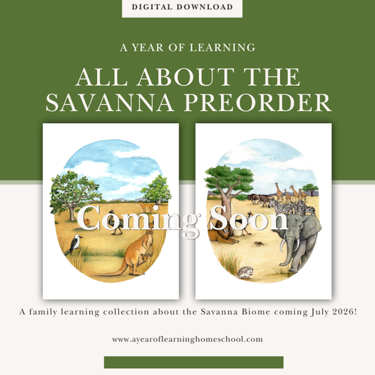 All About the Savanna