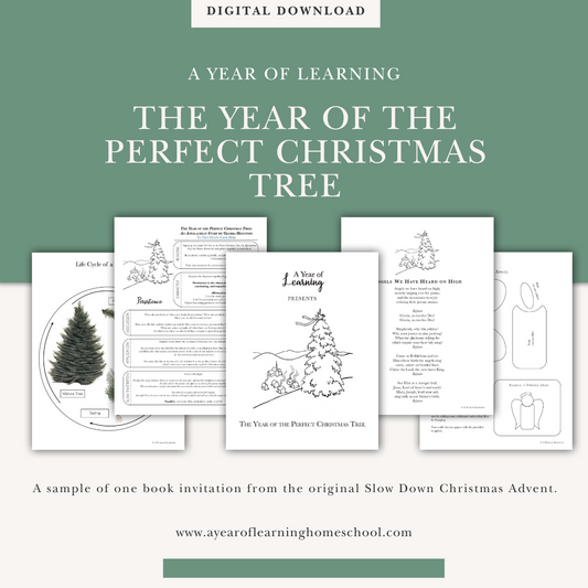 The Year of the Perfect Christmas Tree