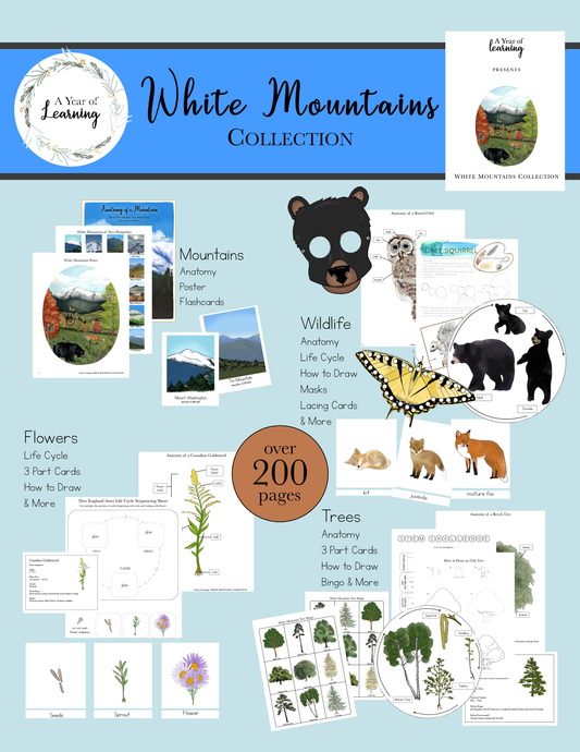 White Mountains Collection