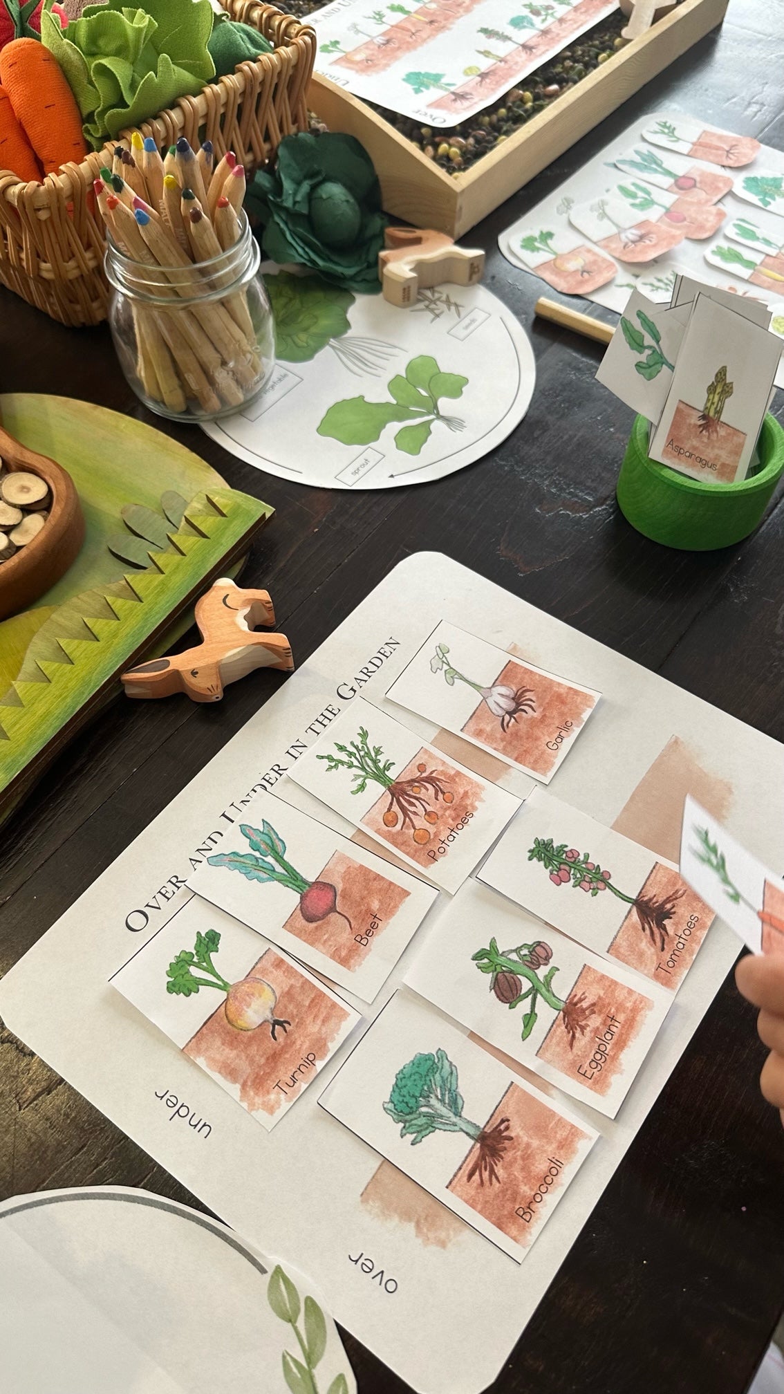 Spring with Peter Rabbit