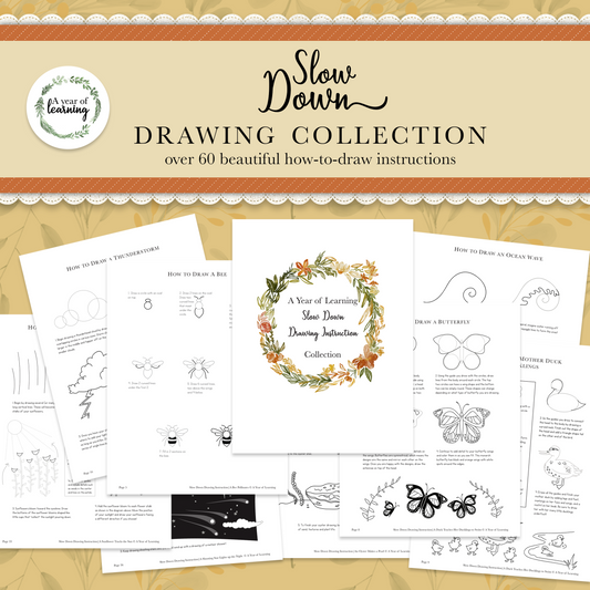 Slow Down Drawing Instruction Collection