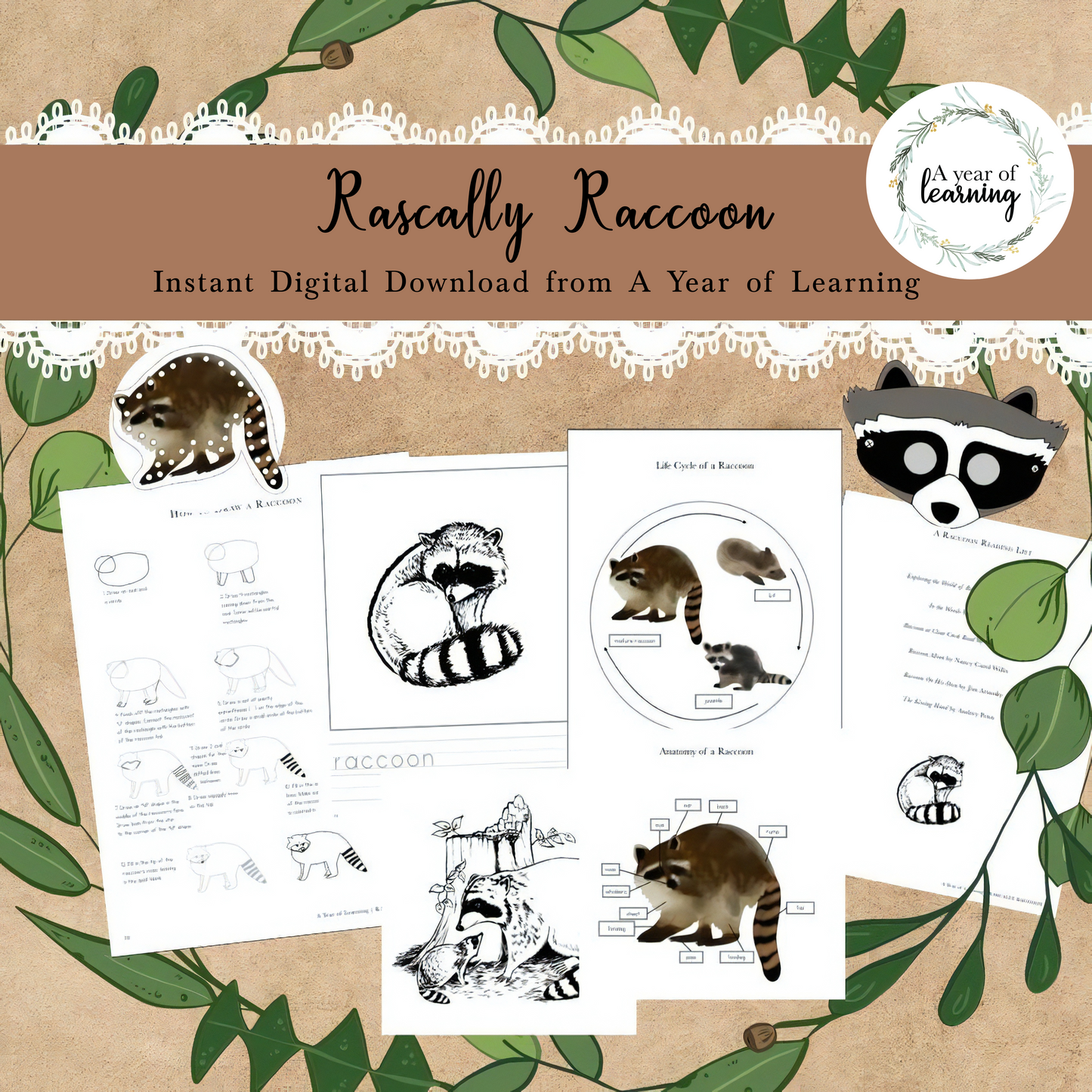 Rascally Raccoon