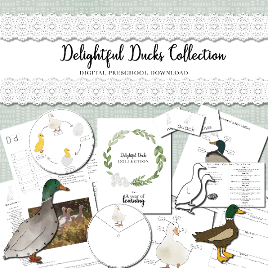 Duck Collection by A Year of Learning