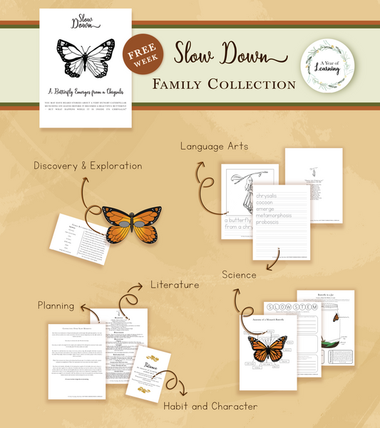 Slow Down for the Family Collection Sample Week
